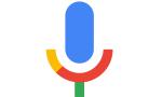 Google Voice Search